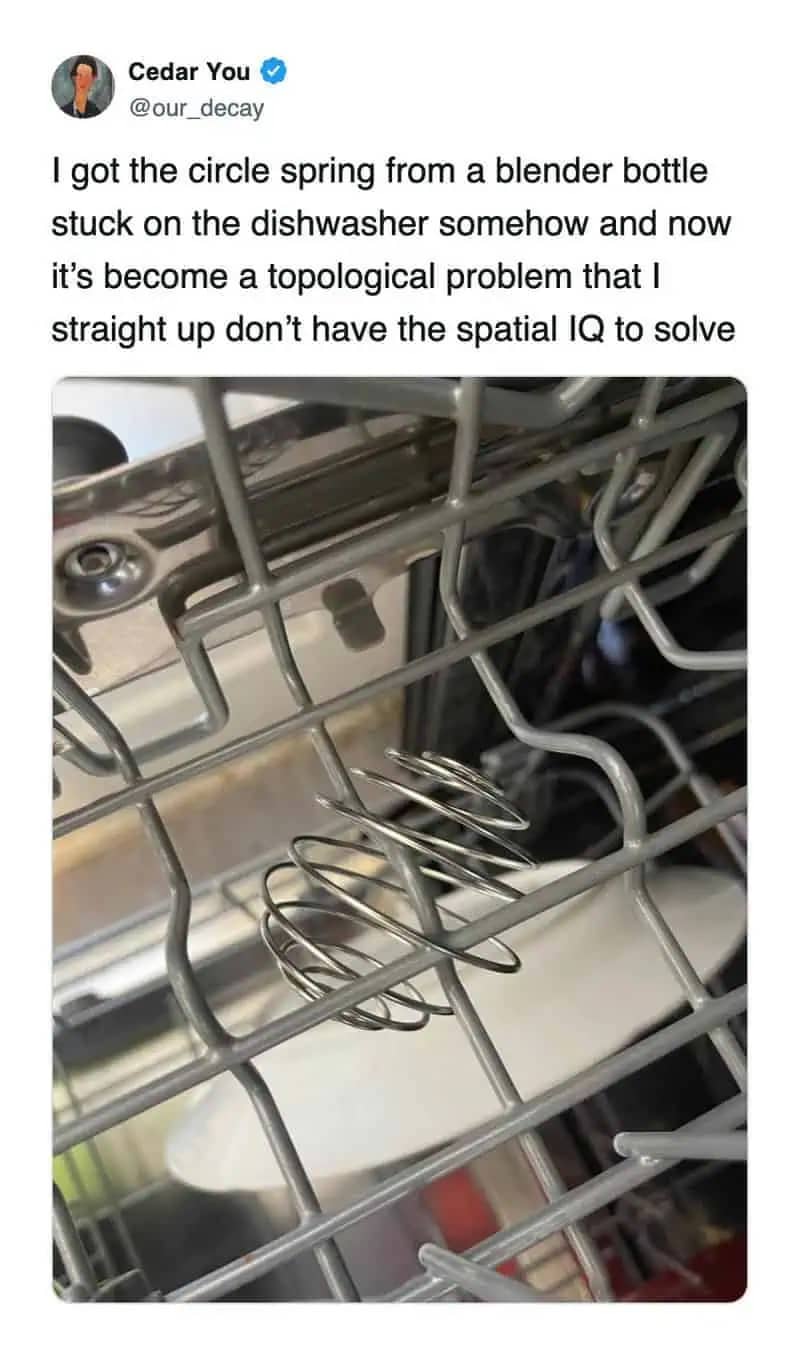 Blender bottle whisk ball tangled in a dishwasher rack with a tweet about spatial IQ.