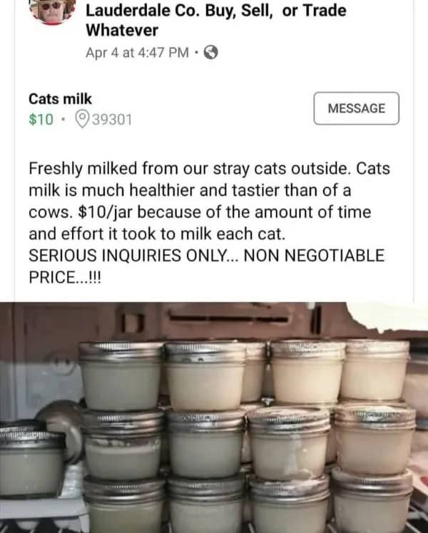 Marketplace listing for jars of cat milk with a refrigerator full of small glass jars.