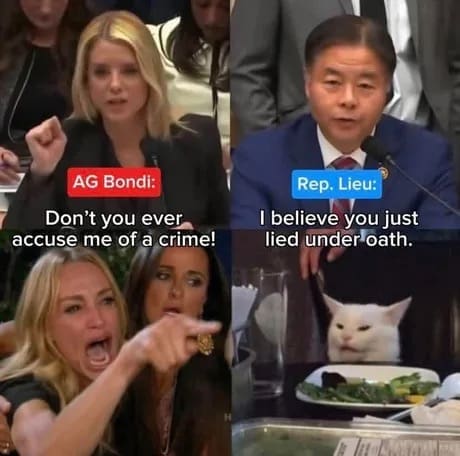 A Pam Bondi hearing meme using the "woman yelling at cat" format to depict the argument between AG Bondi and Rep. Lieu about lying under oath.