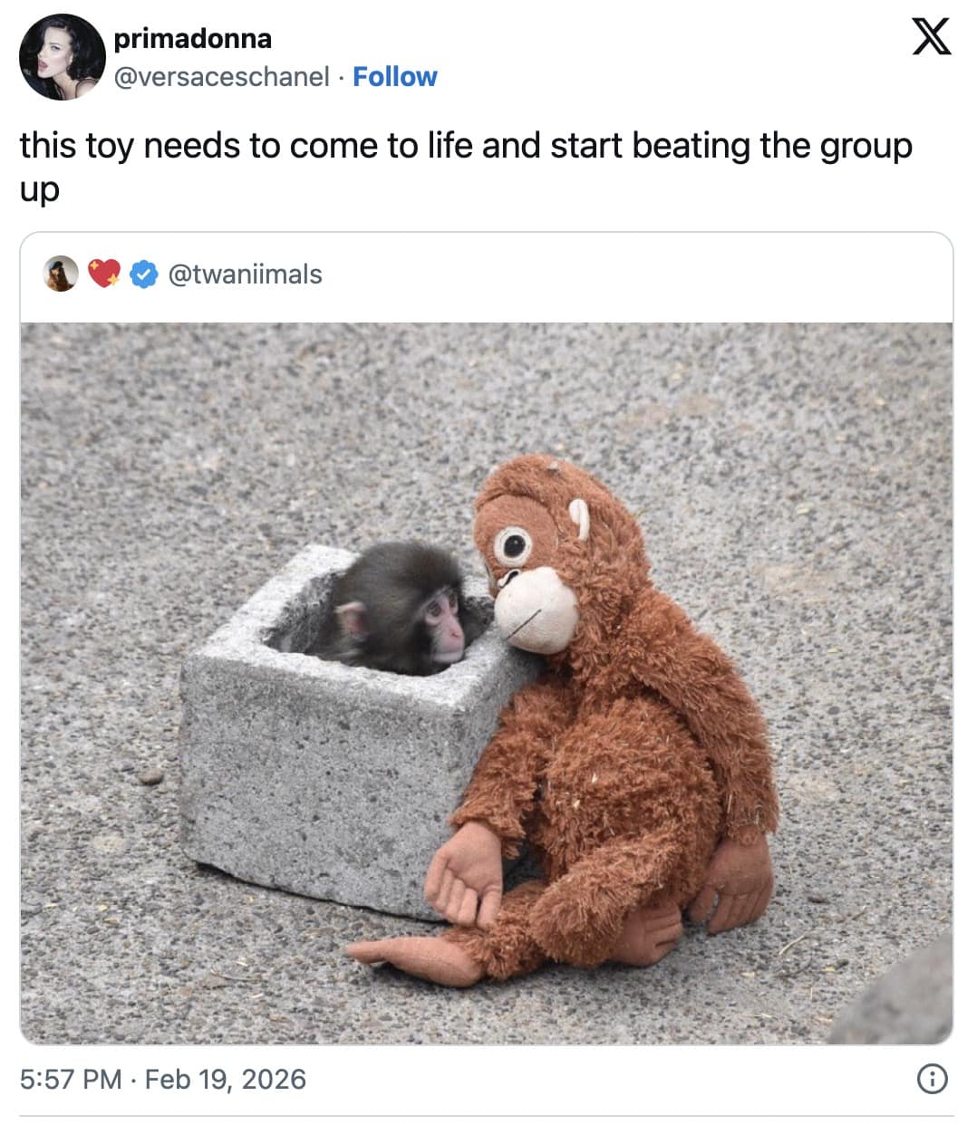 A vengeful and protective addition to the memes about Punch the Monkey, featuring a tweet wishing the stuffed orangutan would magically come to life and beat up the bully macaques, showing a picture of Punch safely hiding in a cinderblock behind his toy.