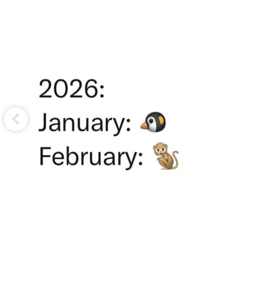 A highly accurate monthly recap featured in memes about Punch the Monkey, showing a simple text post defining January 2026 by a penguin emoji and February 2026 entirely by a monkey emoji.