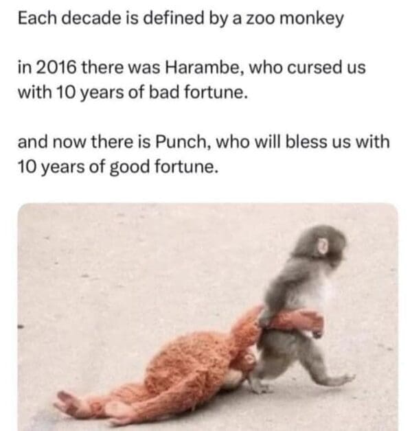 19-punch-the-monkey-memes-that-hijacked-february