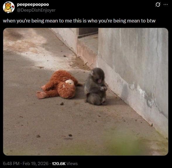 An emotionally manipulative and highly relatable Punch The Monkey meme featuring a tweet saying "when you're being mean to me this is who you're being mean to btw" over a sad picture of the baby monkey crying next to his dropped toy, a classic among memes about Punch the Monkey.
