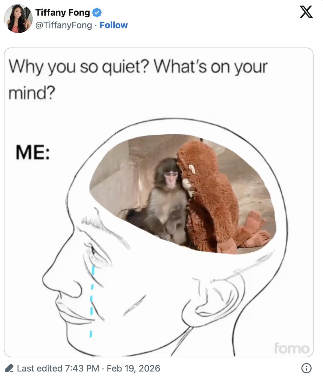A deeply relatable mental health Punch The Monkey meme using the "What's on your mind?" crying brain format, revealing that the person's every waking thought is completely consumed by a sad image of Punch sitting next to his plushie.