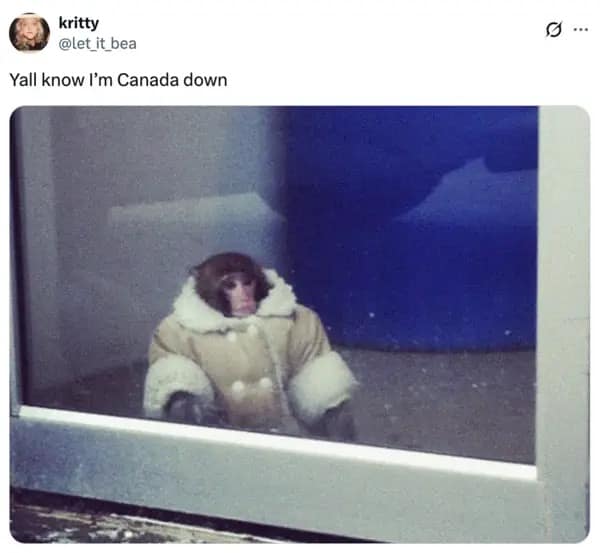 A Yall know I'm Canada Down meme showing the viral Ikea Monkey wearing a stylish shearling coat.