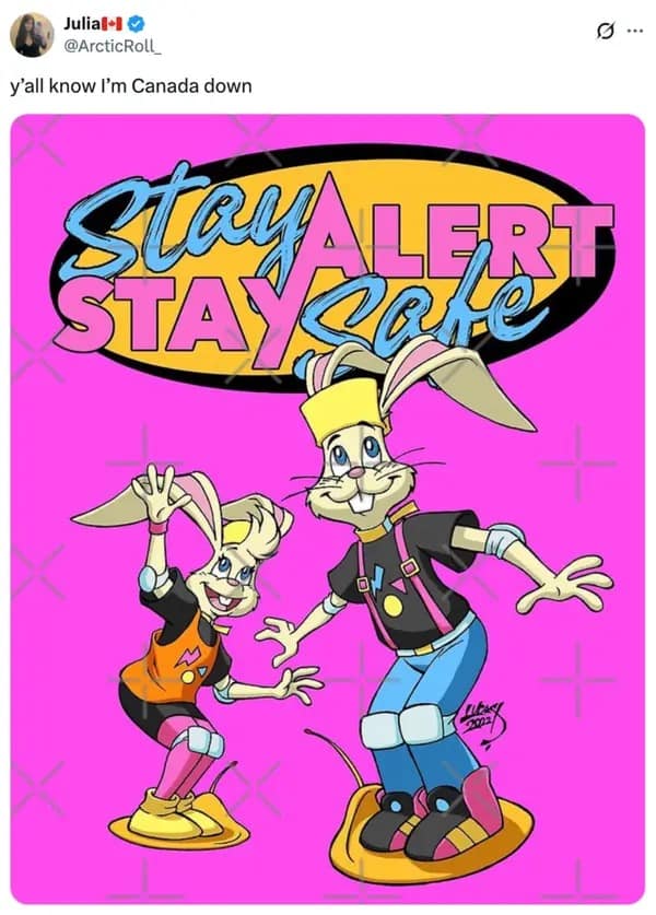 A Yall know I'm Canada Down meme featuring the safety rabbits from the iconic Stay Alert Stay Safe PSAs.