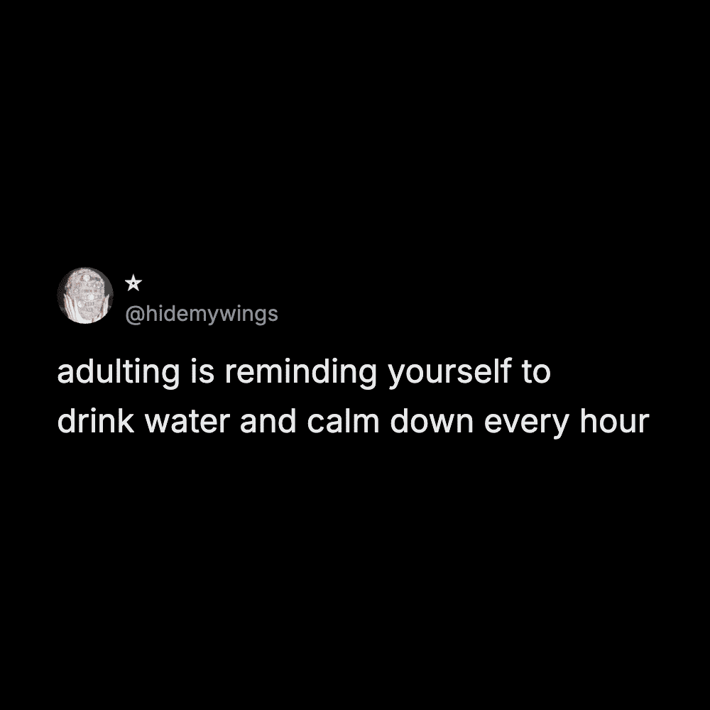 Hidemywings text post about needing hourly reminders to drink water and calm down. A perfect adulting meme.