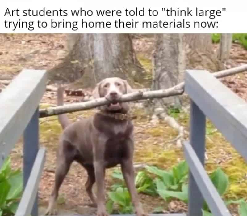 A dog struggling to carry a very large tree branch across a bridge, representing art students with large materials.