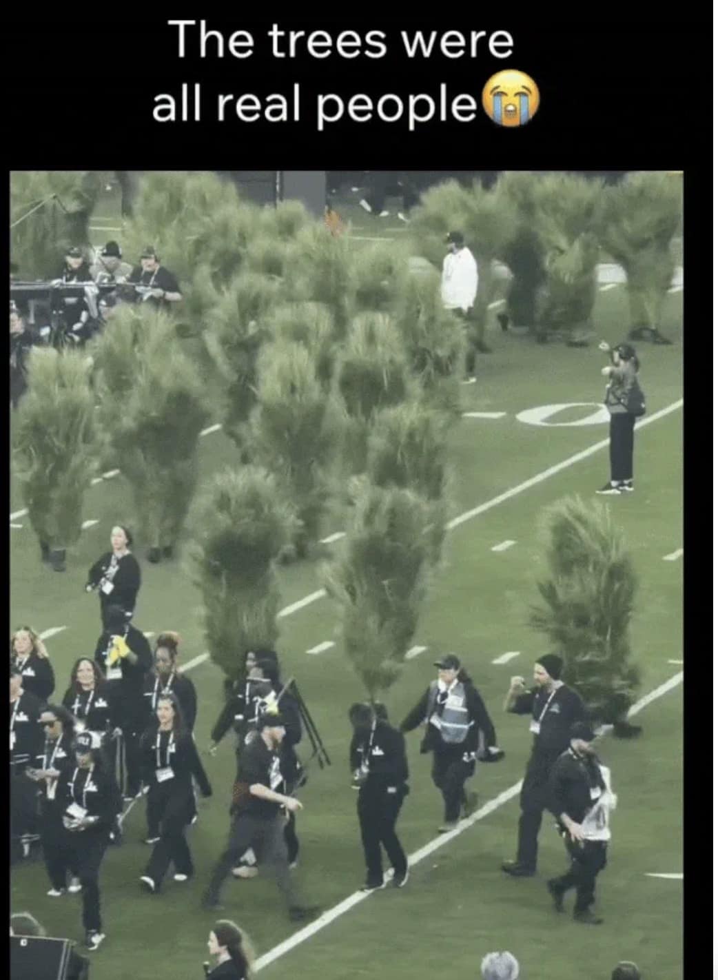 A behind-the-scenes bad bunny halftime show meme revealing that the palm trees on the field were actually people in costumes.
