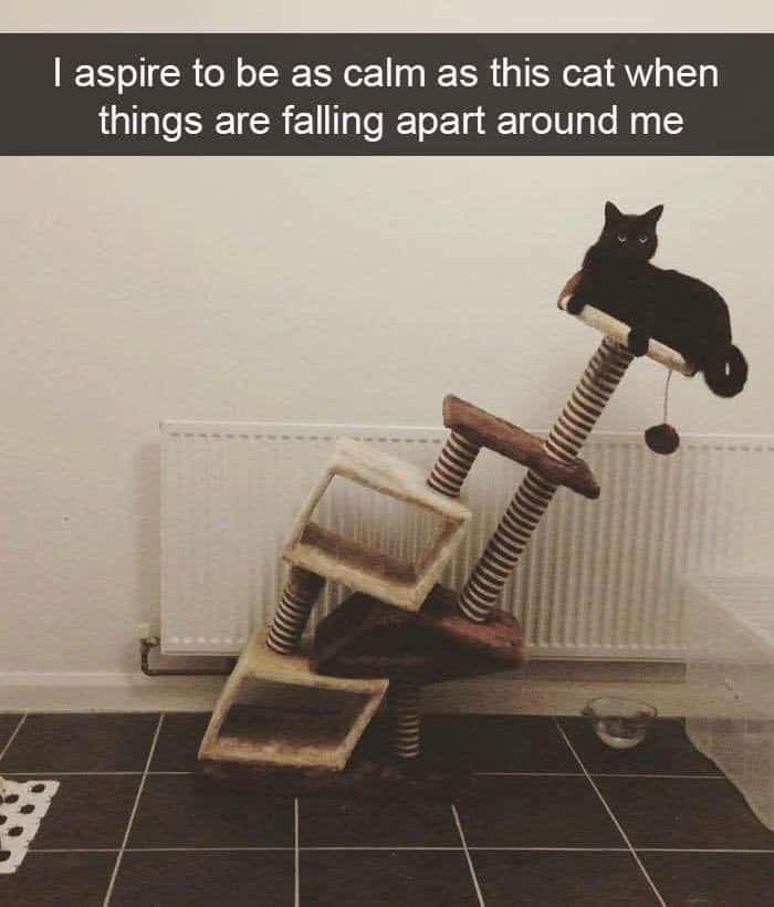 A deeply inspirational and hilarious image among funny cat snaps showing a completely unbothered black cat resting peacefully on the top platform of a heavily broken, collapsing cat tree.