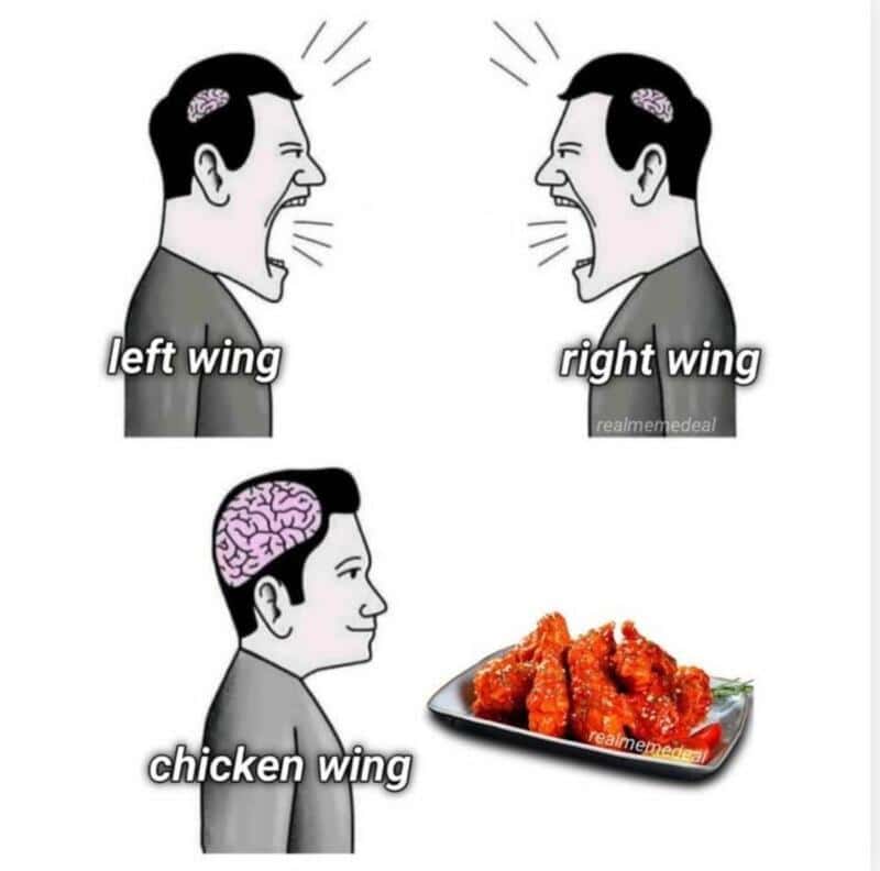 Brain size meme comparing "left wing" and "right wing" politics to the enlightened "chicken wing" fan.