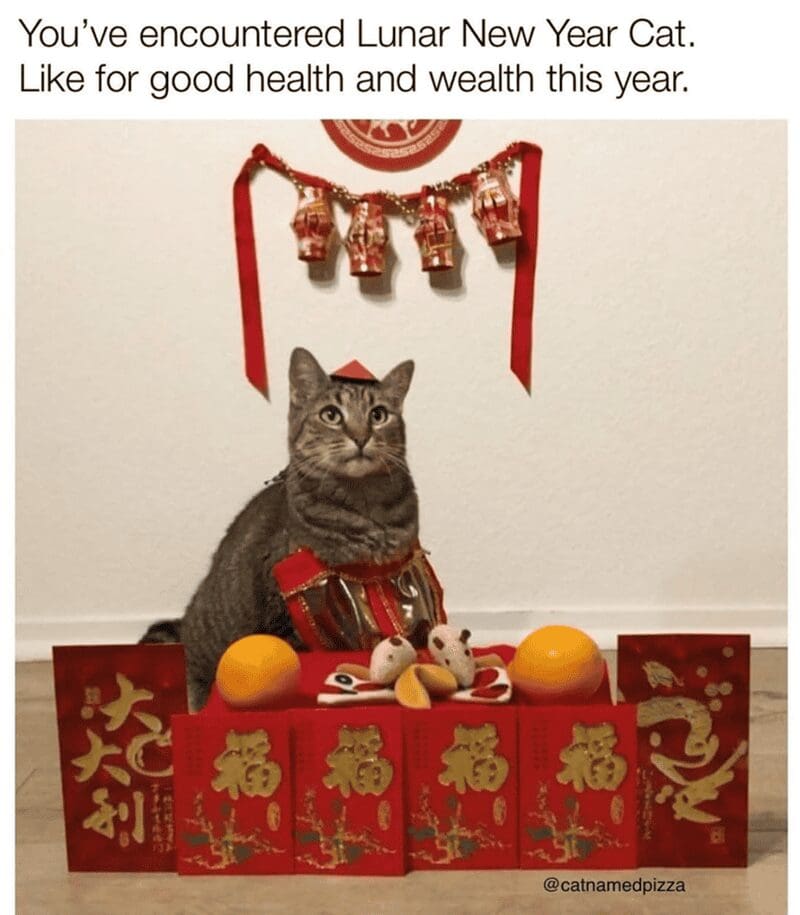 A wholesome "good luck" Lunar New Year meme featuring a tabby cat surrounded by red envelopes and oranges, promising health and wealth to anyone who likes the photo.