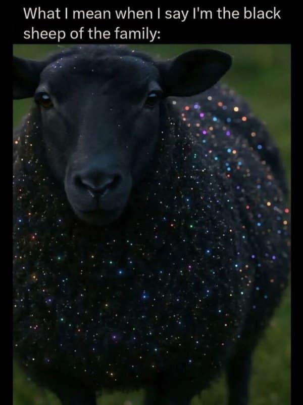 Black sheep covered in colorful glowing sparkles. A wholesome visual for being the weird but fabulous outcast of a family.