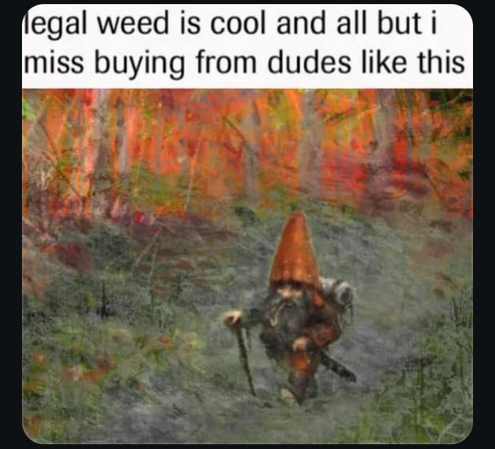 Blurry forest gnome walking. Joke about missing buying weed from weird guys before legalization in this classic meme