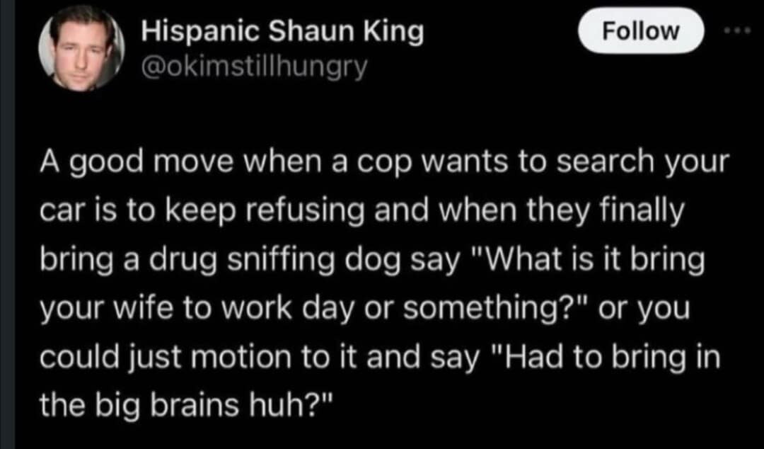 A brilliantly terrible legal strategy in this classic meme, showing a tweet advising people to insult a police officer's drug-sniffing dog by asking if it is "bring your wife to work day".