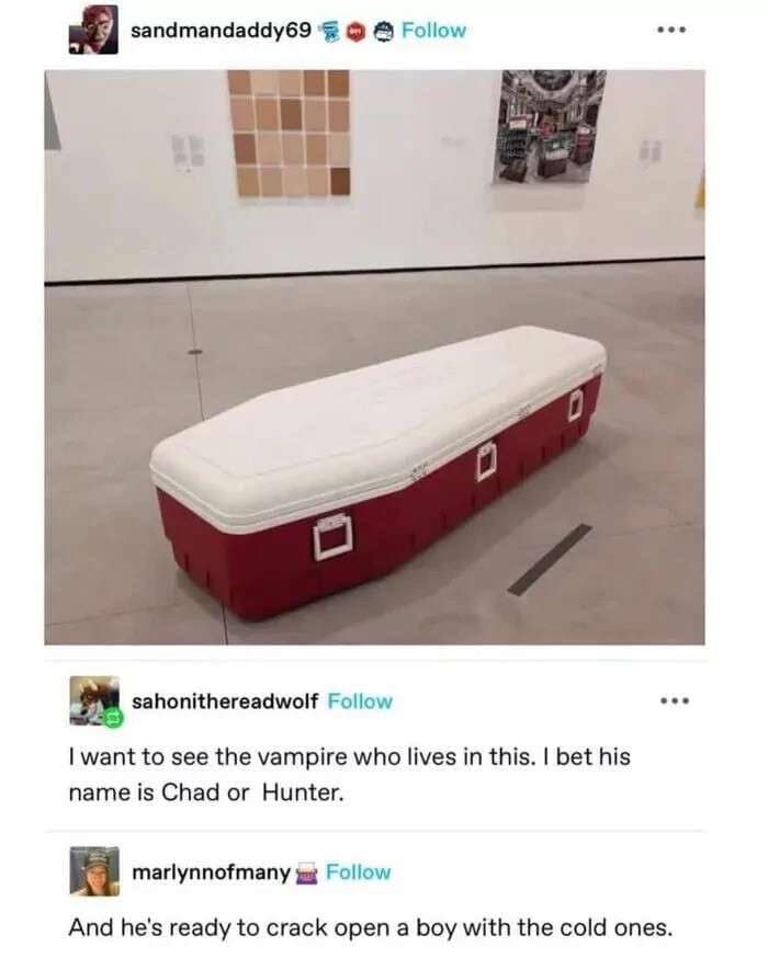 A fantastic Tumblr classic meme showing a red and white cooler shaped exactly like a coffin, with users joking that a frat-bro vampire named Chad sleeps inside, ready to "crack open a boy with the cold ones".