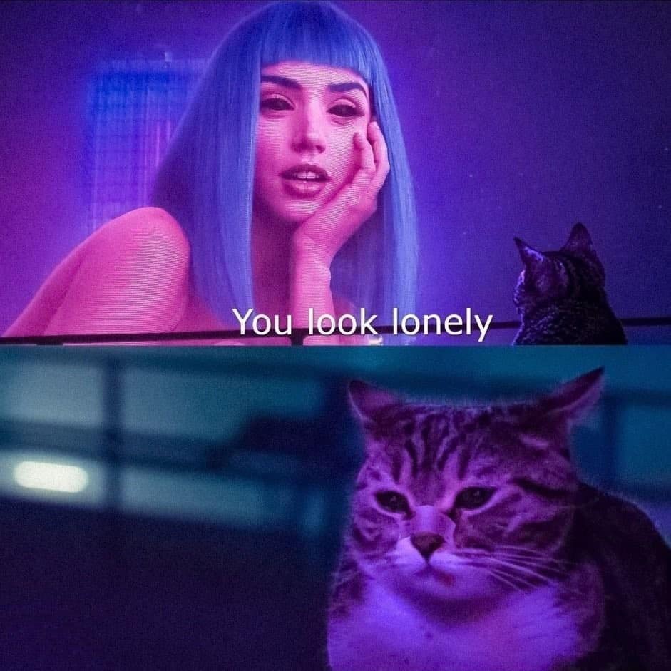 A classic meme edit of Ryan Gosling's Officer K from Blade Runner 2049 looking at a giant purple holographic cat instead of Joi.