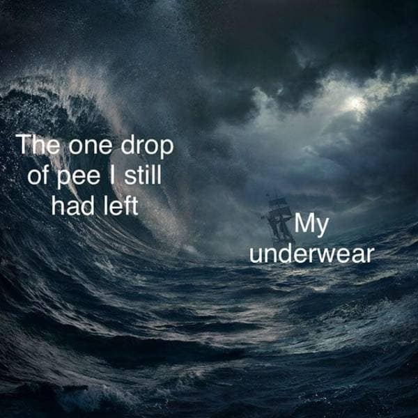 A classic meme utilizing a 19th-century nautical painting to compare a giant tsunami wave to a drop of urine and a ship to underwear.