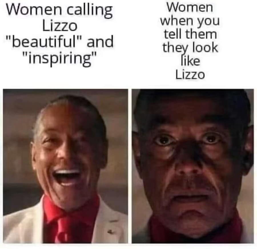 A classic meme using the Gus Fring template to show the difference between calling Lizzo inspiring versus being told you look like her.