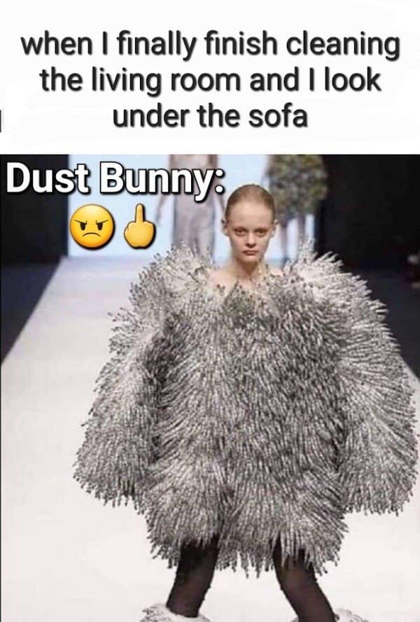 A classic meme comparing a high-fashion runway model wearing a giant grey fuzz ball to a "dust bunny" giving the middle finger.