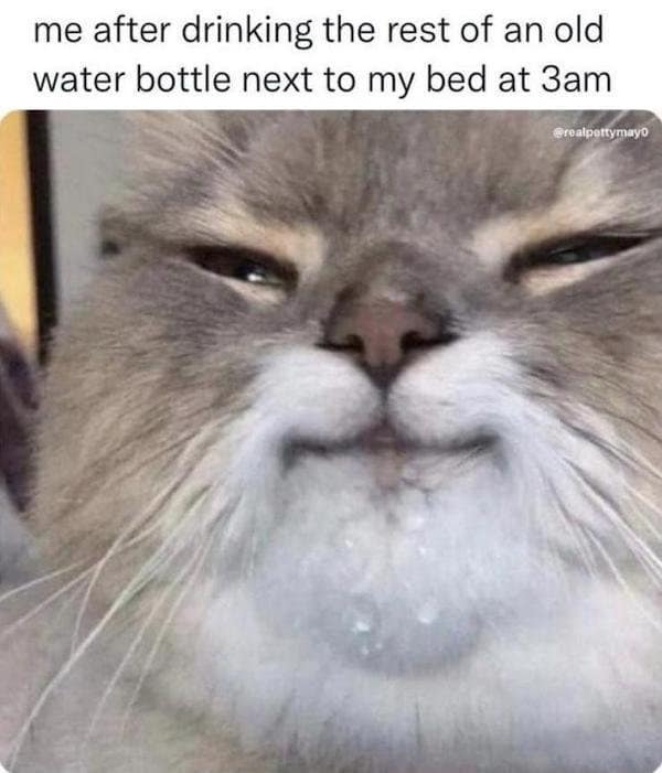 A relatable old meme featuring a cat with a weirdly satisfied, wet face to represent the feeling of drinking warm, old water from a bedside bottle at 3 AM.