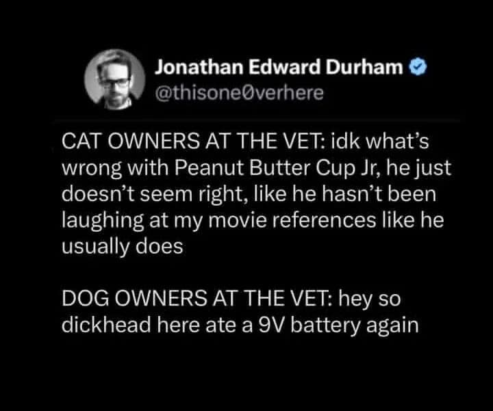 A hilarious viral tweet comparing anxious cat owners at the vet to dog owners whose pet "ate a 9V battery again."