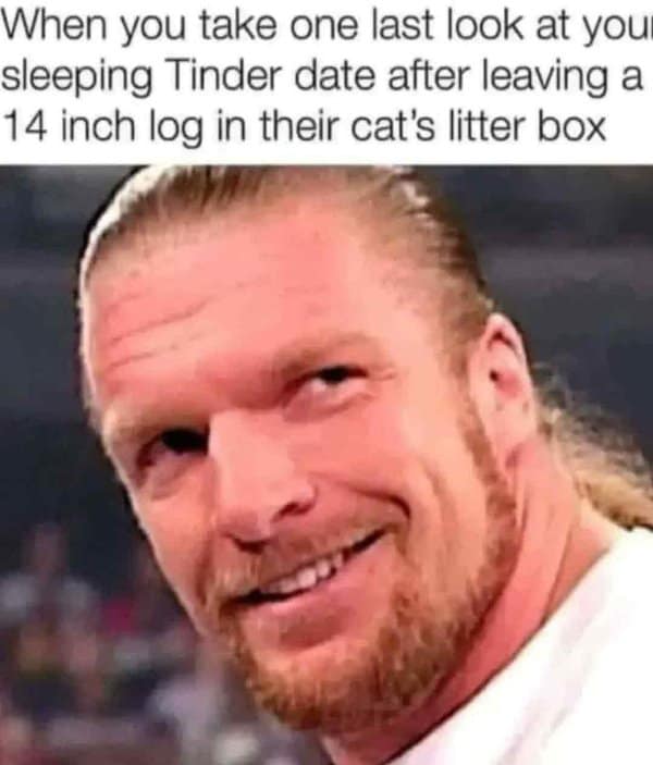 A savagely unhinged classic meme featuring a smug Triple H, capturing the devious look of leaving a Tinder date's house after completely destroying their cat's litter box with a massive 14-inch log.