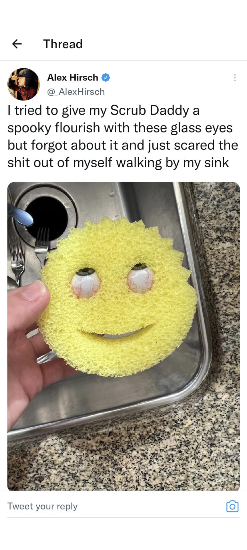 A cursed image classic meme from Alex Hirsch showing a yellow Scrub Daddy sponge fitted with realistic human glass eyes, creating a terrifying "spooky flourish."