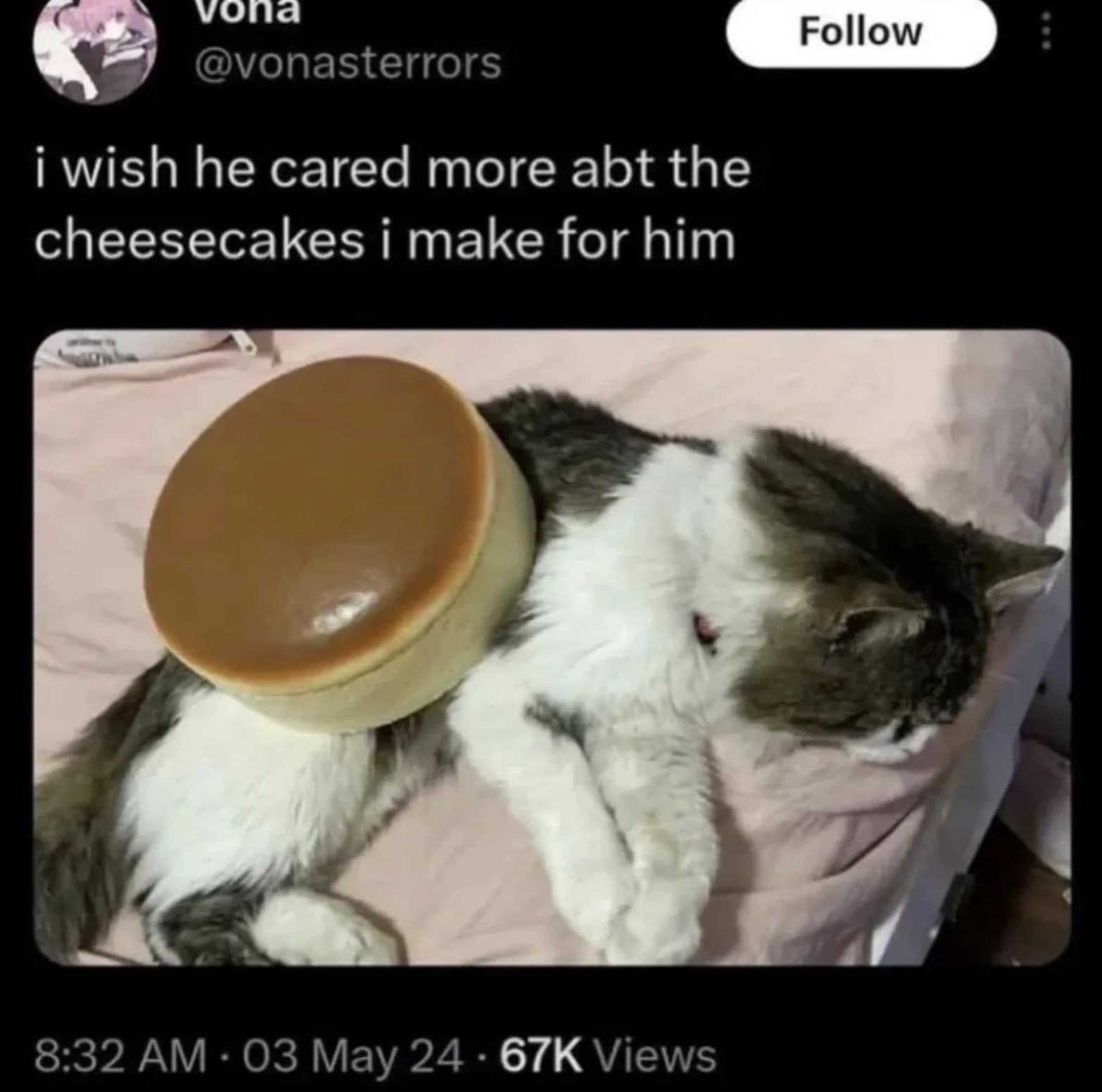 An absolutely absurd and hilarious classic meme showing a completely defeated, face-down fluffy cat with a massive, perfectly smooth cheesecake resting precisely balanced on its back, captioned with a baker wishing her partner cared more about her culinary creations.