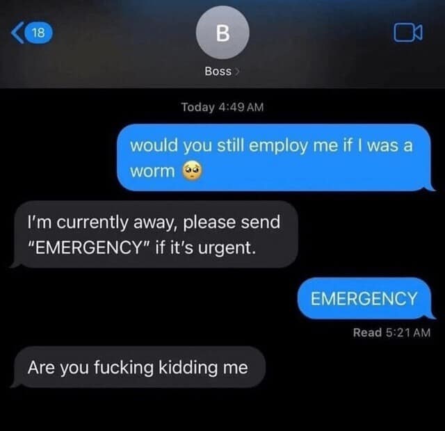 A hilarious classic meme text exchange where an employee asks their boss if they would still employ them if they were a worm.