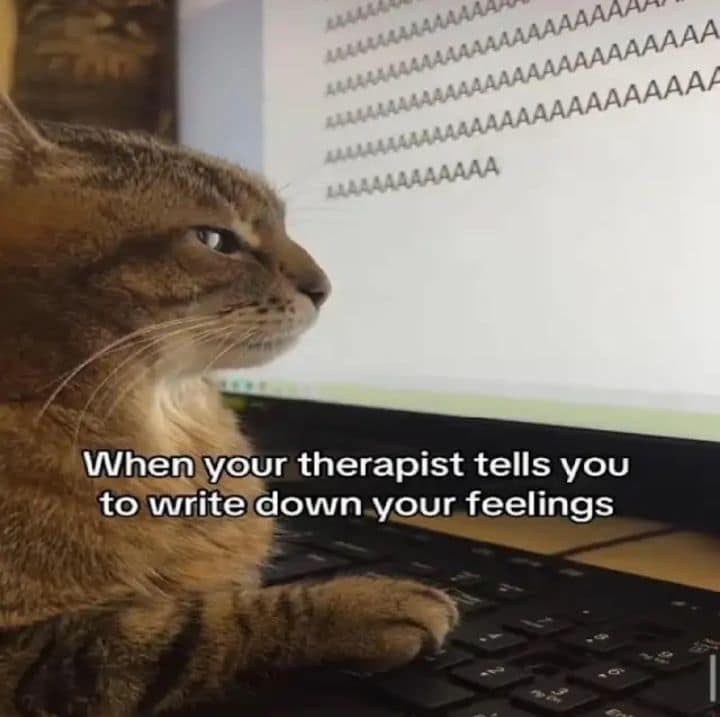 A highly relatable mental health classic meme featuring a deeply unbothered cat resting its paw on a laptop keyboard to casually type an endless, screaming string of the letter "A," perfectly capturing the exact chaotic vibe of trying to formally "write down your feelings" for a therapist.