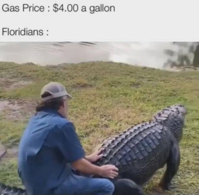 A Florida-themed classic meme suggesting that when gas prices hit $4.00 a gallon, Floridians resort to riding giant live alligators as transportation.