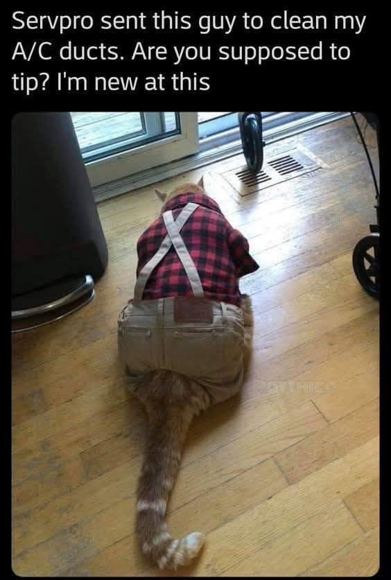 A hilarious classic meme featuring a cat dressed in a plaid shirt and khakis, looking exactly like a contractor sent to clean AC ducts and awkwardly asking about tipping etiquette.