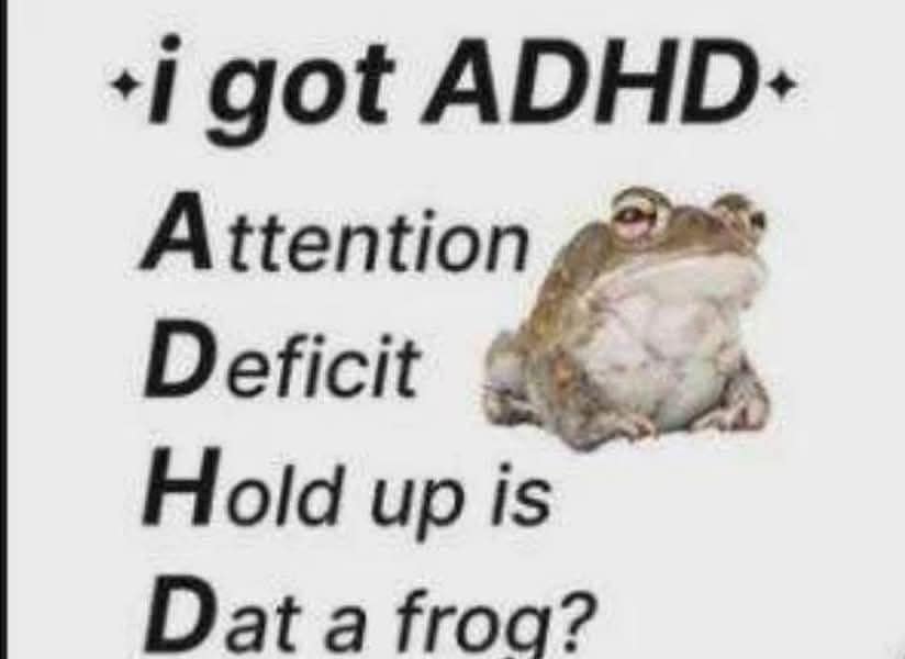 A relatable ADHD classic meme redefining the acronym as "Attention Deficit Hold up is Dat a frog?" accompanied by a picture of a very polite-looking toad.
