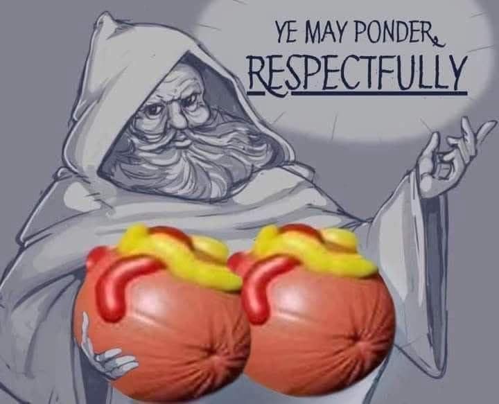 A surreal fantasy old meme featuring a wizard pondering two massive, round hot dog spheres, captioned with the invitation to "ponder respectfully."