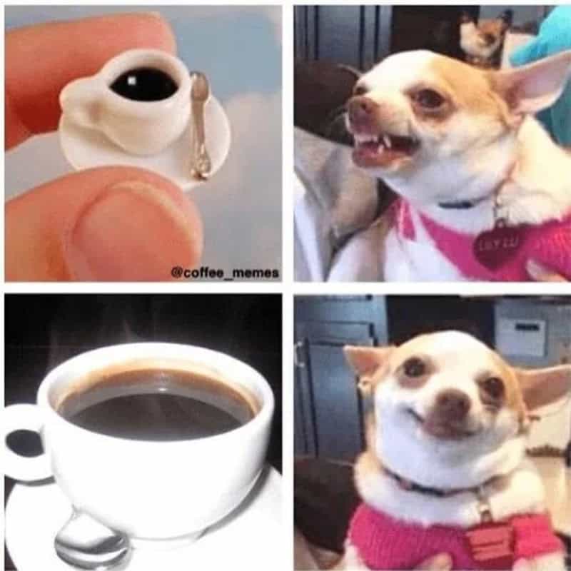 Coffee meme: Four-panel grid comparing an angry Chihuahua with a tiny coffee cup to a smiling Chihuahua with a full-sized mug.