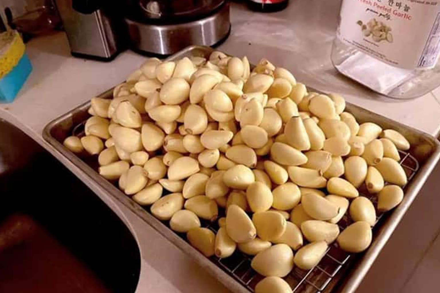 Cooking memes compilation: A collage featuring the devastated rusted cast iron skillet ruined by a dishwasher, the man physically sitting inside a refrigerator to "chill," and the massive mountain of garlic used when a recipe only calls for two cloves.