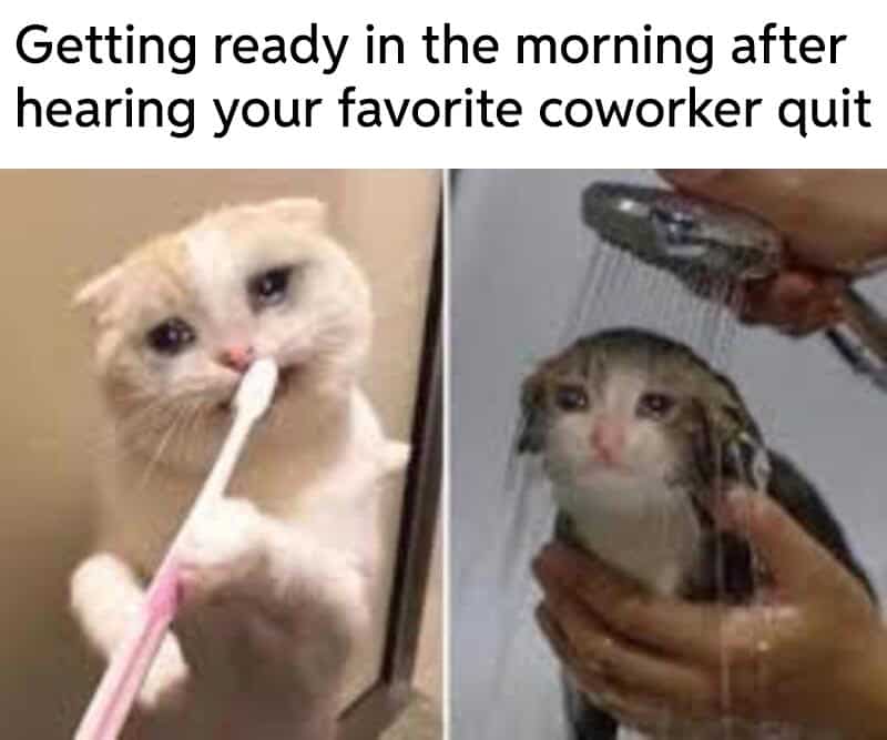 Two panels of a crying cat brushing its teeth and taking a shower in the morning.