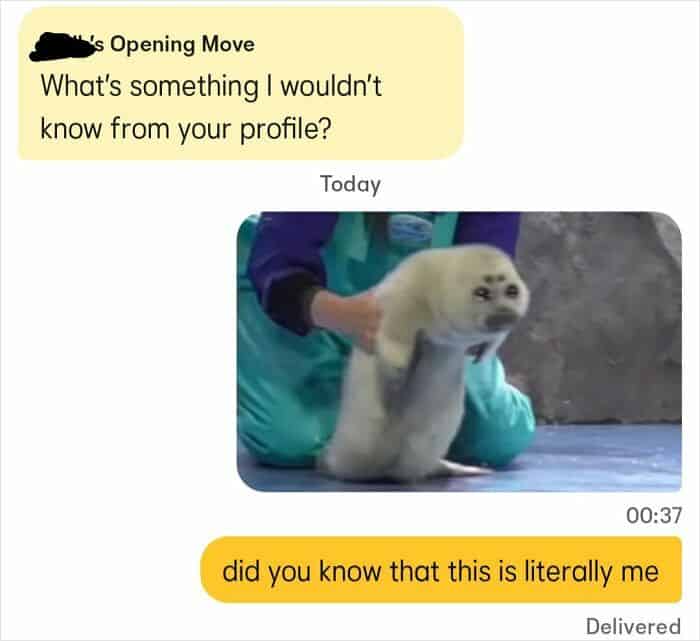 Bumble user sending a meme of a small seal being held to describe something not on their profile.