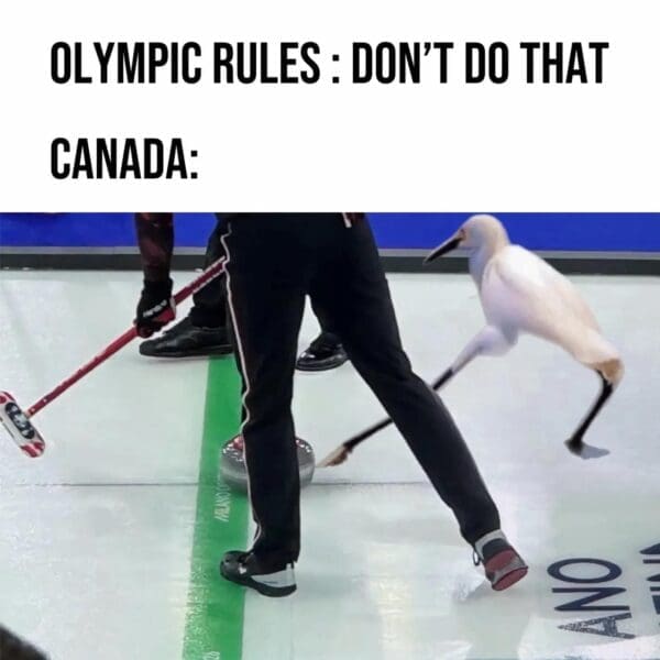 An abstract Canadian curling controversy meme comparing the curler's sliding form to a surreal, stick-legged bird illustration to mock the "sneaky" nature of the move.
