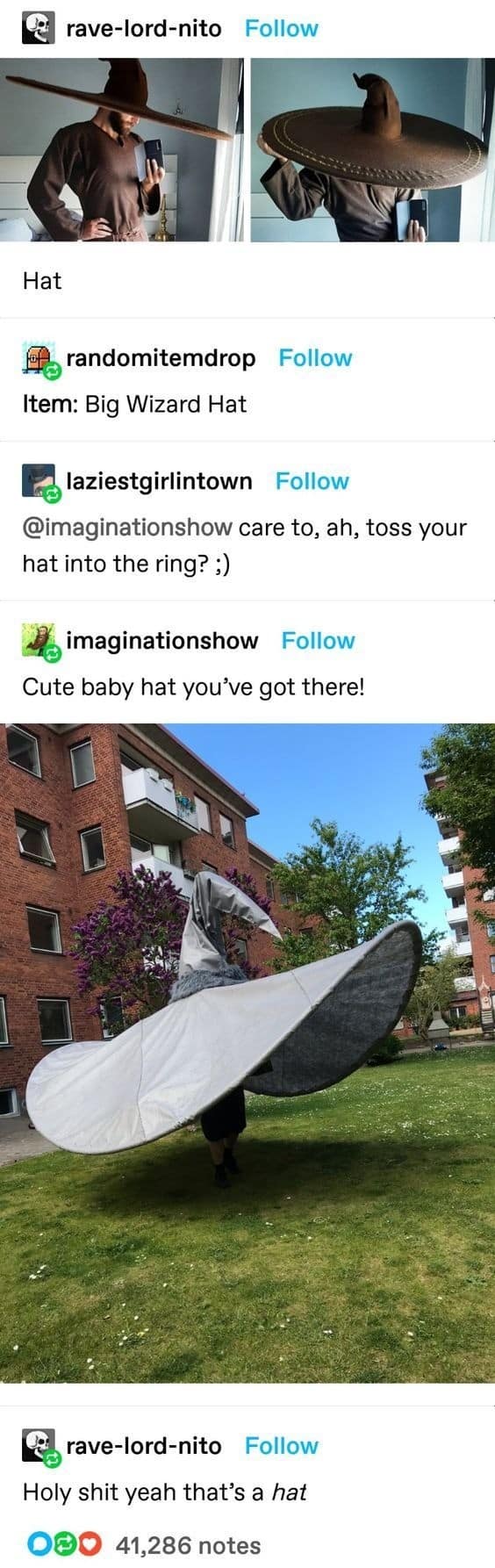 A funny Tumblr dnd meme thread escalating a "Big Wizard Hat" battle, culminating in a user posting a photo of themselves wearing an absurdly colossal grey wizard hat that blankets their entire body like a massive tent.