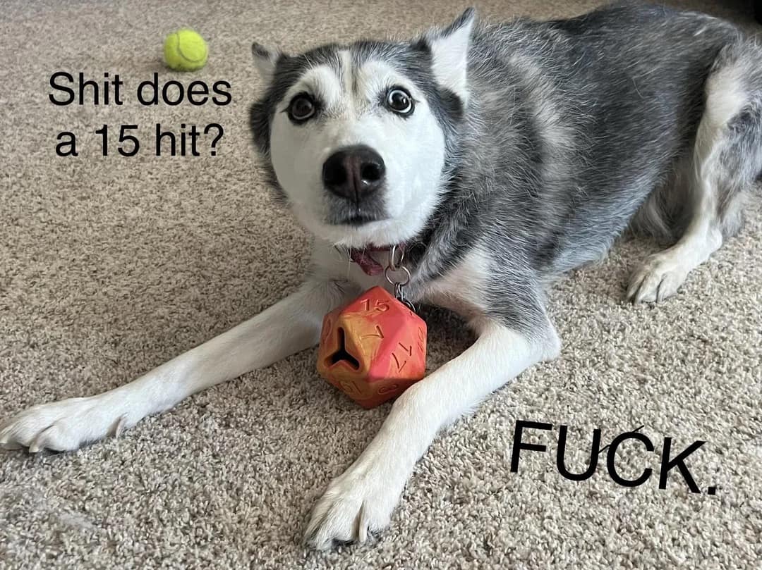 Terrified husky dog wearing a giant d20 dice collar. Perfect reaction for when a monster rolls a fifteen and still hits.