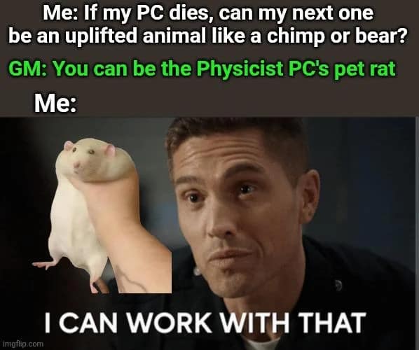 A dnd meme showing a player accepting the role of a "physicist PC's pet rat" with an image of a fat rat being squeezed.
