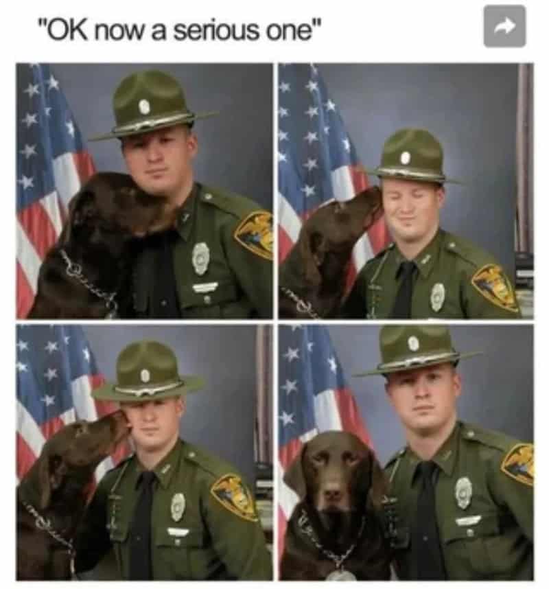 Four-panel photo of a police officer trying to take a serious photo with a dog.