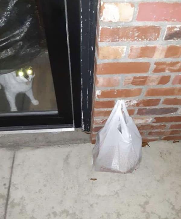 A door dash meme featuring a delivery photo where a cat with glowing laser eyes stares menacingly through the glass door.