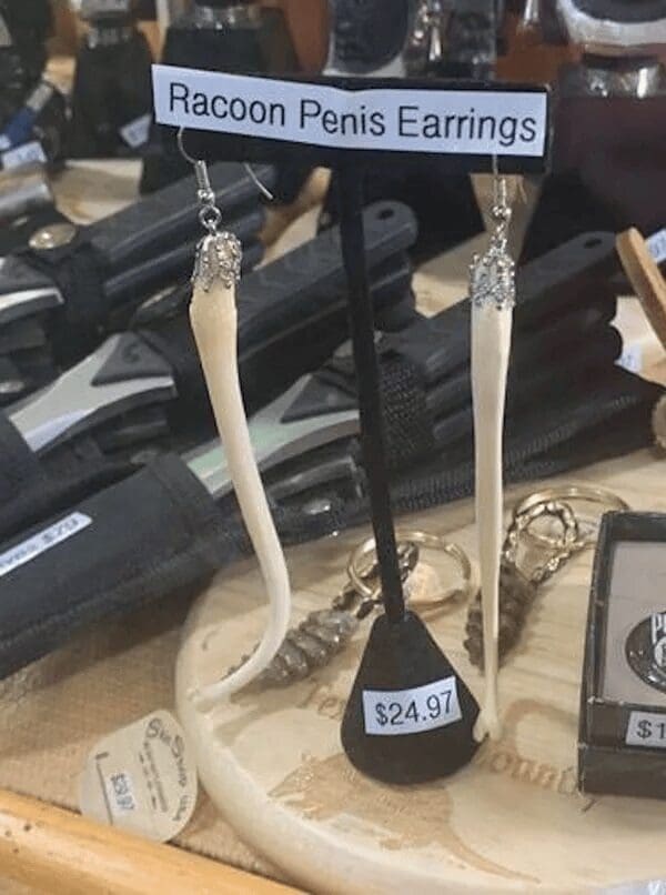 A pair of fashion faux pas earrings made from real raccoon penis bones labeled with a price tag of $24.97.