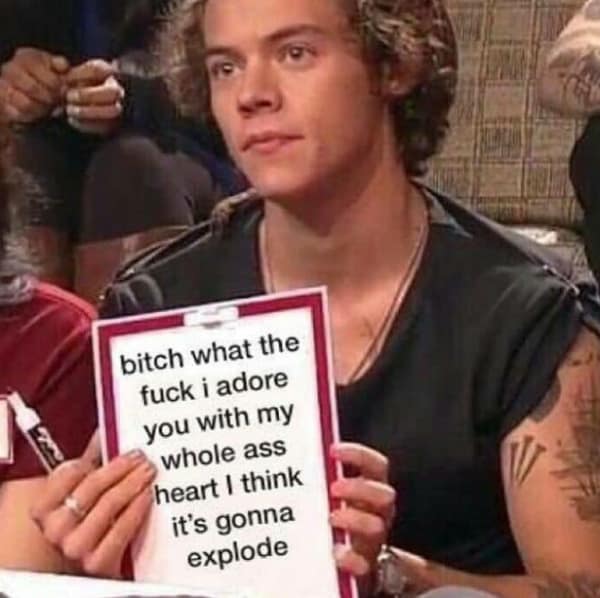 A flirty meme featuring Harry Styles holding an edited sign declaring he adores you with his "whole a** heart" until it explodes.