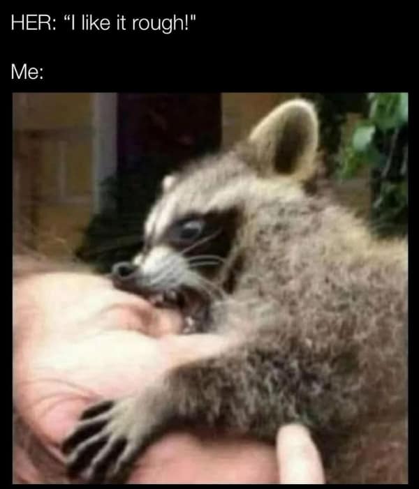 A dirty meme showing a raccoon aggressively biting a hand, captioned "HER: 'I like it rough!' Me: [Raccoon biting]".