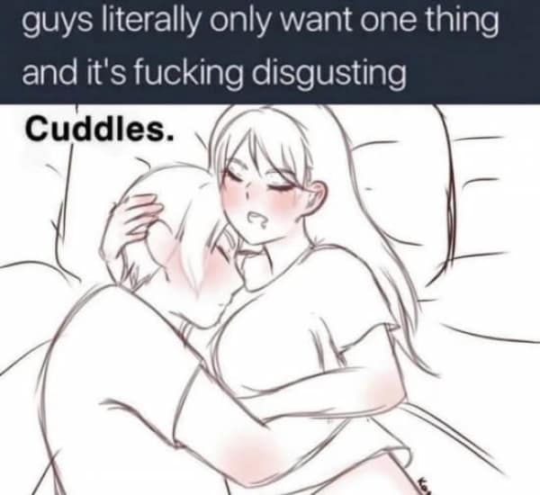 A flirty meme drawing of a couple cuddling, subverting the "guys only want one thing" trope by labeling it "Cuddles."