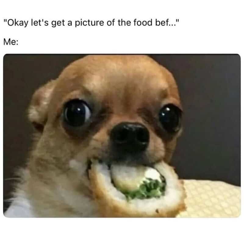 A relatable funny animal meme showing a Chihuahua shoving an entire sushi roll into its mouth immediately after suggesting taking a picture of the food.